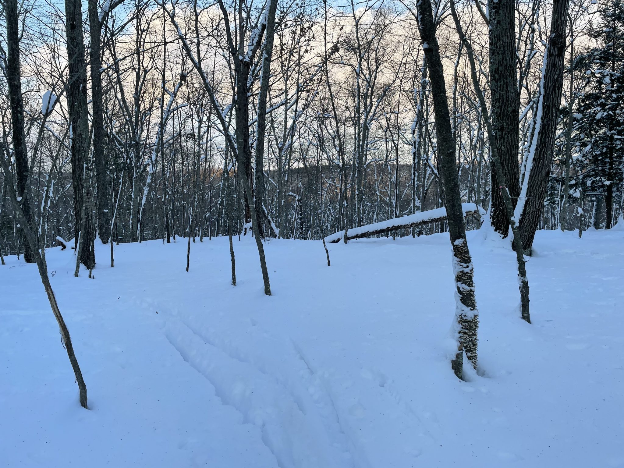 Uconn Winter Courses - g4b91nb