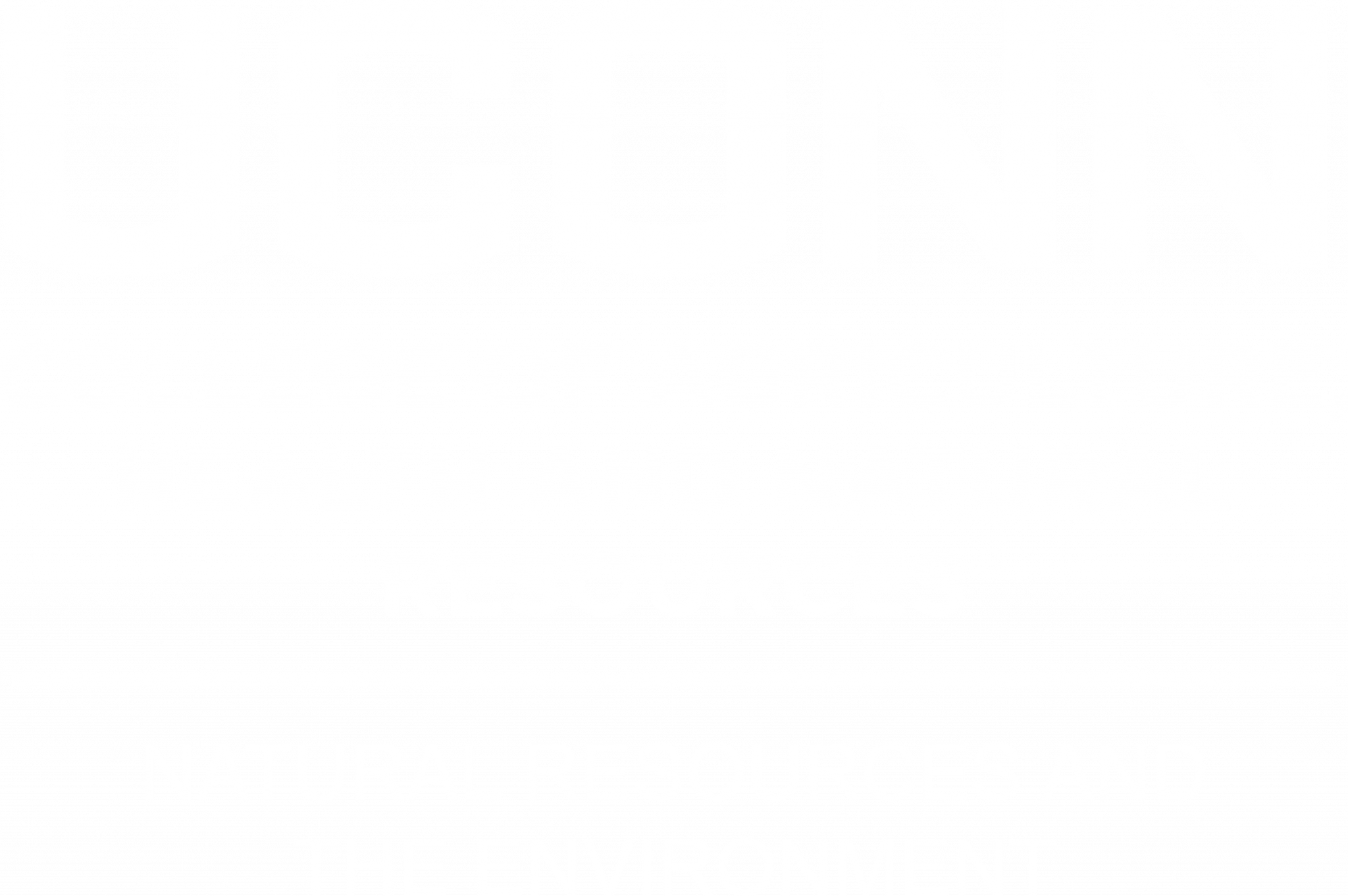 meet-the-forest-uconn-forest